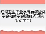 红河卫生职业学院有哪些奖学金和助学金呢(红河卫院奖助学金)