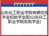 山东化工职业学院有哪些奖学金和助学金呢(山东化工职业学院奖助学金)