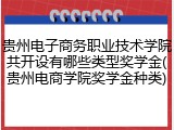 贵州电子商务职业技术学院共开设有哪些类型奖学金(贵州电商学院奖学金种类)