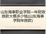 山东海事职业学院一年财政拨款大概多少钱(山东海事学院年拨款)