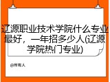 辽源职业技术学院什么专业最好，一年招多少人(辽源学院热门专业)