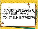 山东文化产业职业学院可以自考去读吗，为什么(山东文化产业职业学院自考)