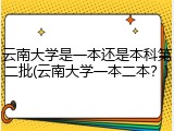 云南大学是一本还是本科第二批(云南大学一本二本？)