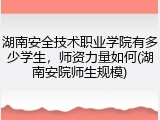 湖南安全技术职业学院有多少学生，师资力量如何(湖南安院师生规模)