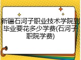 新疆石河子职业技术学院到毕业要花多少学费(石河子职院学费)
