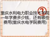 重庆水利电力职业技术学院一年学费多少钱，还有哪些费用(重庆水电学院费用)
