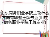 山东商务职业学院主攻什么方向有哪些王牌专业(山东商务职业学院王牌专业)