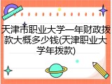天津市职业大学一年财政拨款大概多少钱(天津职业大学年拨款)