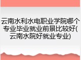 云南水利水电职业学院哪个专业毕业就业前景比较好(云南水院好就业专业)