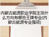 内蒙古能源职业学院主攻什么方向有哪些王牌专业(内蒙古能源专业强项)