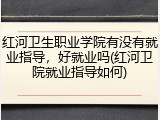 红河卫生职业学院有没有就业指导，好就业吗(红河卫院就业指导如何)