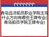 青岛远洋船员职业学院主攻什么方向有哪些王牌专业(青岛船员学院王牌专业)