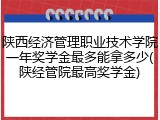 陕西经济管理职业技术学院一年奖学金最多能拿多少(陕经管院最高奖学金)