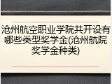 沧州航空职业学院共开设有哪些类型奖学金(沧州航院奖学金种类)