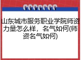 山东城市服务职业学院师资力量怎么样，名气如何(师资名气如何)