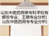 山东中医药高等专科学校有哪些专业，王牌专业分析(山东中医药高专专业分析)