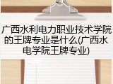 广西水利电力职业技术学院的王牌专业是什么(广西水电学院王牌专业)