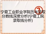 宁夏工业职业学院历年录取分数线深度分析(宁夏工院录取线分析)