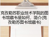 克孜勒苏职业技术学院的图书馆藏书量如何，简介(克孜勒苏图书馆藏书)