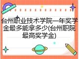 台州职业技术学院一年奖学金最多能拿多少(台州职院最高奖学金)