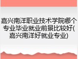 嘉兴南洋职业技术学院哪个专业毕业就业前景比较好(嘉兴南洋好就业专业)