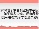 安徽电子信息职业技术学院一年学费多少钱，还有哪些费用(安徽电子学费及杂费)