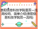 贵阳信息科技学院是双一流高校吗，简单介绍(贵阳信息科技学院双一流吗)