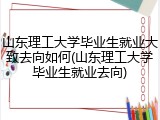 山东理工大学毕业生就业大致去向如何(山东理工大学毕业生就业去向)