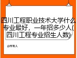 四川工程职业技术大学什么专业最好，一年招多少人(四川工程专业招生人数)