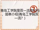 青岛工学院是双一流高校吗，简单介绍(青岛工学院双一流？)