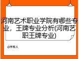 河南艺术职业学院有哪些专业，王牌专业分析(河南艺职王牌专业)