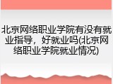 北京网络职业学院有没有就业指导，好就业吗(北京网络职业学院就业情况)