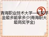 青海职业技术大学一年奖学金最多能拿多少(青海职大最高奖学金)