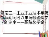 湖南三一工业职业技术学院就读期间可以申请哪些奖学金(湖南三一职院奖学金)