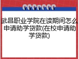 武昌职业学院在读期间怎么申请助学贷款(在校申请助学贷款)