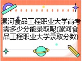 漯河食品工程职业大学高考需多少分能录取呢(漯河食品工程职业大学录取分数)