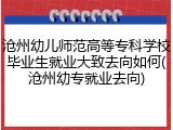 沧州幼儿师范高等专科学校毕业生就业大致去向如何(沧州幼专就业去向)