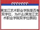 黑龙江艺术职业学院是否有双学位，为什么(黑龙江艺术职业学院双学位原因)