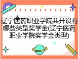 辽宁医药职业学院共开设有哪些类型奖学金(辽宁医药职业学院奖学金类型)