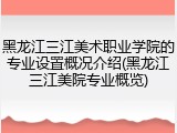 黑龙江三江美术职业学院的专业设置概况介绍(黑龙江三江美院专业概览)