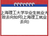 上海理工大学毕业生就业大致去向如何(上海理工就业去向)