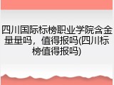 四川国际标榜职业学院含金量量吗，值得报吗(四川标榜值得报吗)