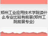 郑州工业应用技术学院读什么专业比较有前景(郑州工院前景专业)