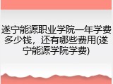 遂宁能源职业学院一年学费多少钱，还有哪些费用(遂宁能源学院学费)