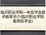 临沂职业学院一年奖学金最多能拿多少(临沂职业学院最高奖学金)