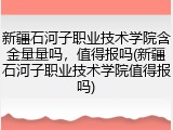新疆石河子职业技术学院含金量量吗，值得报吗(新疆石河子职业技术学院值得报吗)