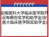 安徽医科大学临床医学院开设有哪些奖学和助学金(安医大临床医学院奖助学金)