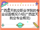 广西蓝天航空职业学院的专业设置概况介绍(广西蓝天航空专业概览)