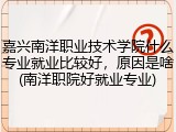 嘉兴南洋职业技术学院什么专业就业比较好，原因是啥(南洋职院好就业专业)
