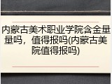 内蒙古美术职业学院含金量量吗，值得报吗(内蒙古美院值得报吗)